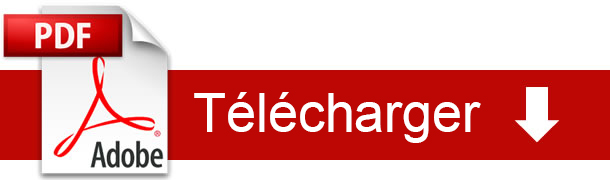 bouton telechargement pdf